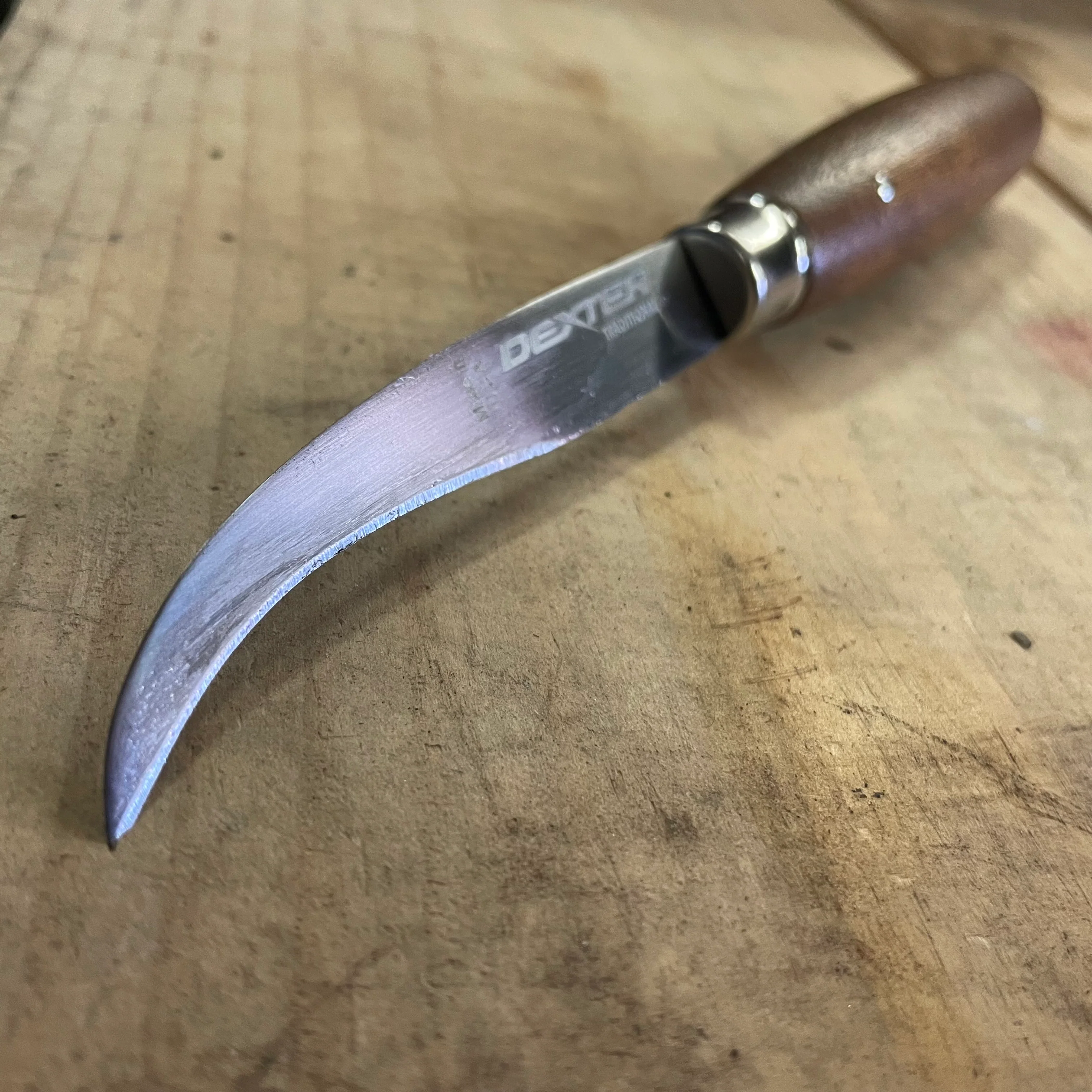 Dexter Russell 3 ⅜” Curved Point Shoe Knife (75220) - Image 2