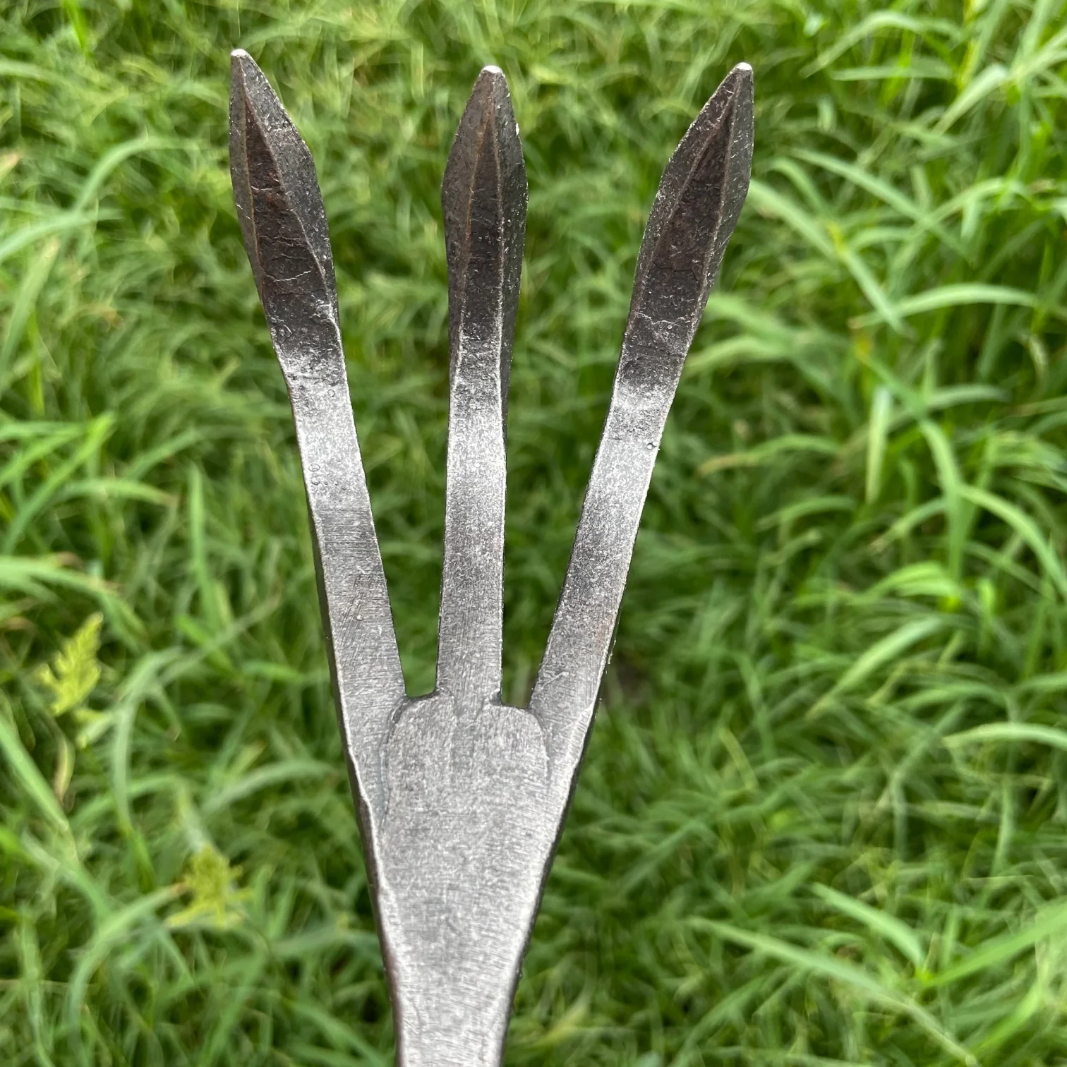 Piginor - Three-Tine Cultivator - Image 3