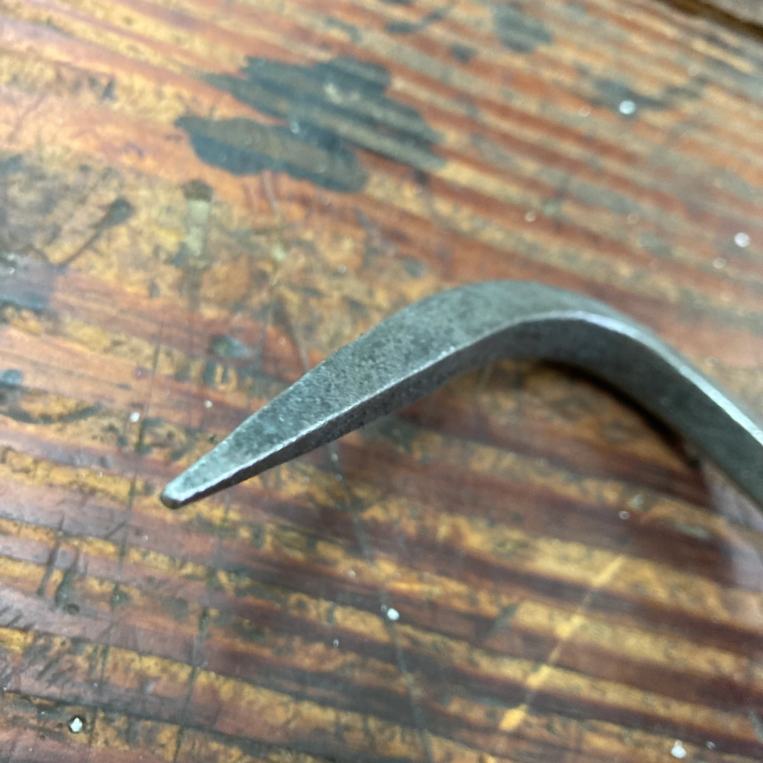 Piginor Root Hook (PGRH) - Image 2
